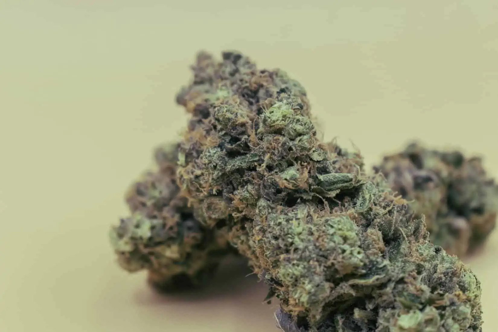 Donkey punch strain review